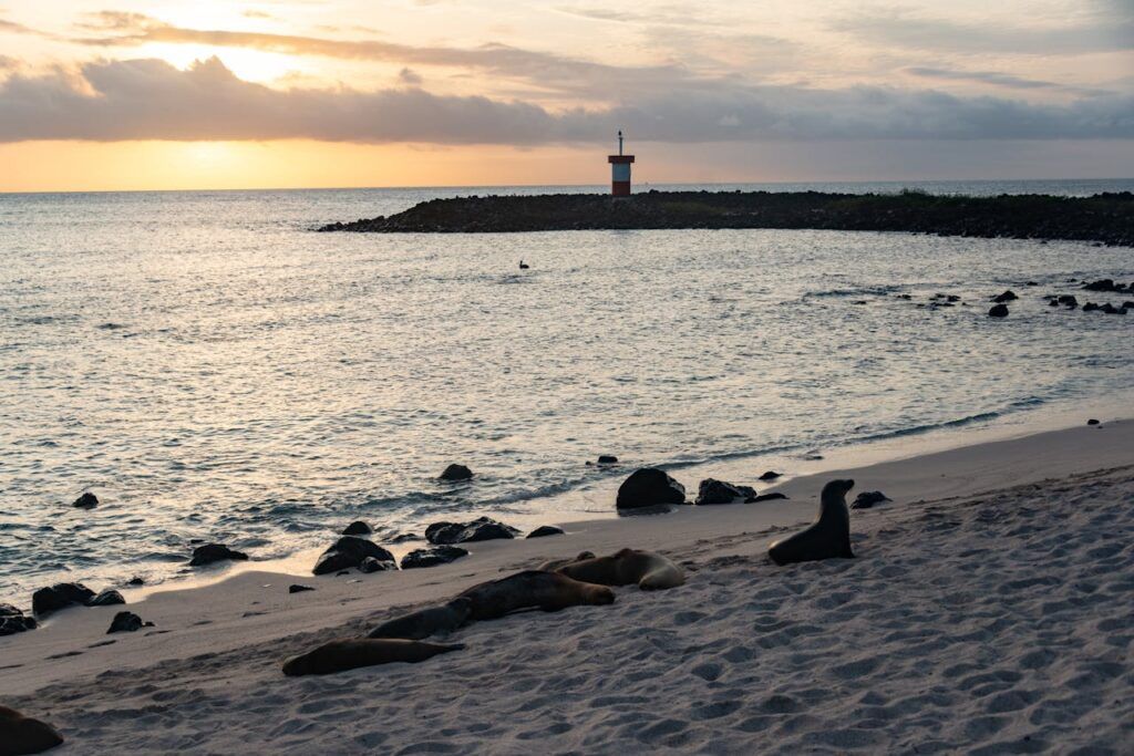 Punta Carola beach at sunset